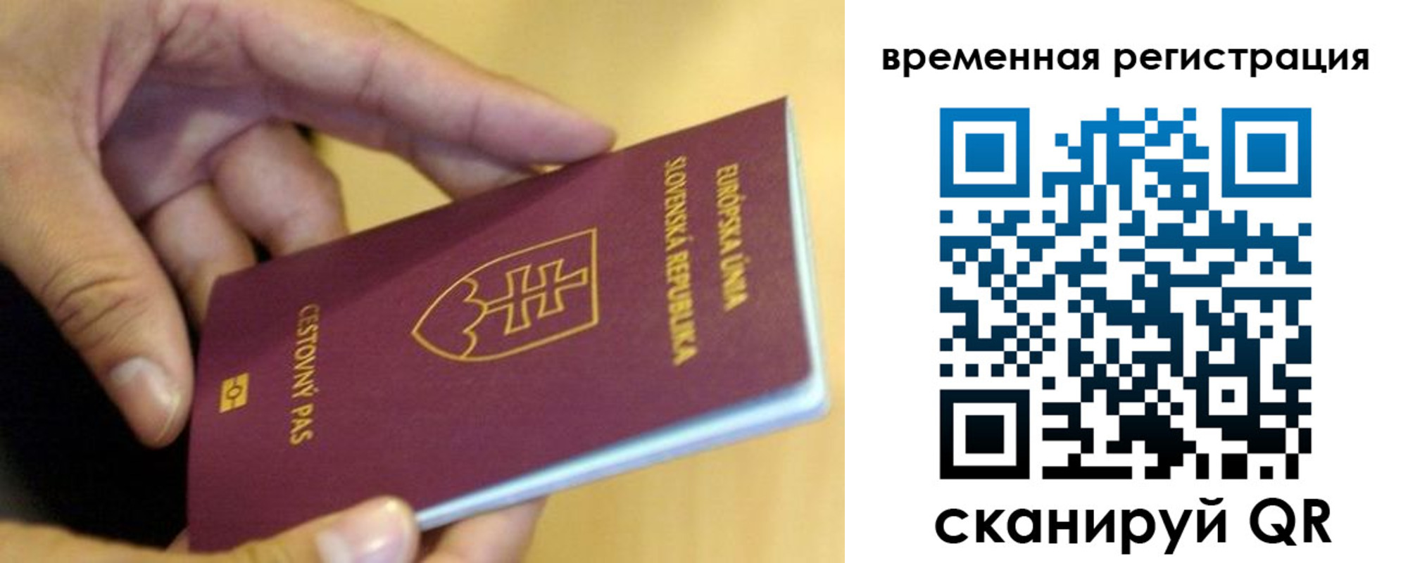 временная регистрация купить в Ногинске