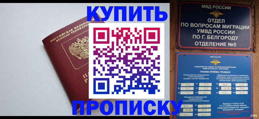 прописка регистрация в Ногинске